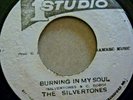 SILVERTONES BURNING IN MY SOUL/VERSION STUDIO ONE EX