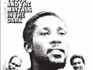 Toots and the Maytals - In The Dark LP - Vinyl Album - 54-36 + FEVER ++ RECORD