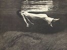 Evans*Bill / Hall*Jim - Undercurrent (Vinyl Used Very Good)