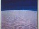 The Desert Sessions - Vol I - LP 10