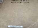BON JOVI BURNING BRIDGES LP NEVER PLAYED