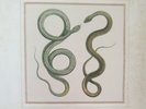 Fantomas - Vinyl - Suspended Animation - LTD EDITION - IPECAC OFFICIAL - MIKE P