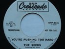 Psych Garage THE SEEDS You're Pushing Too Hard VG++ GNP CRESCENDO Promo 45 HEAR