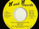 Southern Echoes 