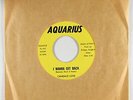 Sweet Soul 45 - Candace Love - I Wanna Get Back - Aquarius - VG+ mp3