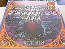 Boo Radleys Giant Steps 2XLP 20th Anniversary - NEW/SEALED