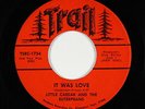 Sweet Soul/Funk 45 - Little Caesar & Euterpeans - It Was Love - Trail - rare