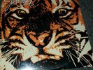 Survivor eye of the tiger lp vinyl record 1982 Scott brothers  fz38062 new seale