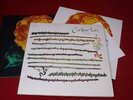 Cocteau Twins:   Twinlights    Near Mint   1995  Ltd  2X7
