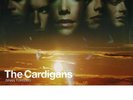 The Cardigans - Gran Turismo - LP VINYL  NEU/OVP