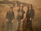The Cadillac Three Country Fuzz LP Exclusive Signed Cover Art, Poster, Postcards