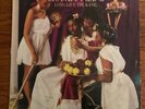 Vinyl LP Record BIG DADDY KANE LONG LIVE THE KANE 1988 Cold Chillin' 25731 NM