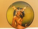 Cher: Take Me Home LP Vinyl Album 1979  Picture Disc NBPIX7133