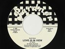 Modern Soul 45 - David Nevin - Love Is In View - Pardner - VG++ mp3 - brown wax
