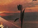 The Pretty Things - Parachute - ID4z - vinyl LP - New