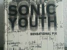 Sonic Youth Sensational Fix Buch plus zwei 7inch Vinyl Single 2008