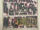 The Dogs D'Amour - Satellite kid.2 x 12