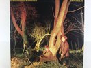 ECHO AND THE BUNNYMEN, Crocodiles. Sire SRK 6096. 1980 US pressing.