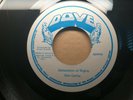 Don Carlos   Declaration Of Rights / Version | Jamaica Roots Reggae Digi Dub 45