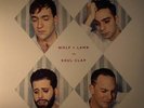 WOLF & LAMB vs SOUL CLAP/VARIOUS - DJ Kicks - Vinyl (gatefold 2xLP)