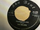 Wailers - Teenager in Love / Love & Affection 7
