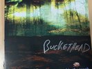 Rare Buckethead Signed Lp A Real Diamond In The Rough