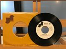 ERNIE K. DOE HERE COME THE GIRLS / A LONG WAY BACK FROM HOME JANUS RECORDS J-167