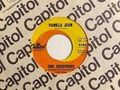 BRIAN WILSON Prod. 45 SURVIVORS Pamela Jean/After The Game Capitol HEAR Rare