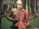 Cattle Decapitation To Serve Man Green Vinyl - Metal Blade Deep Six Records