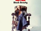 Love-Black Beauty VINYL NEW
