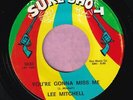 Lee Mitchell 