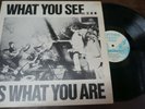 Alternative TV / Here & now - What You See Is What You Are, LP 12 