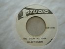 AUTHOR ROBINSON MOMENT /DELROY WILSON FEEL GOOD ALL OVER STUDIO ONE VG+