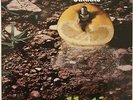 Franco Battiato-Pollution Italian prog lp reissue brand new