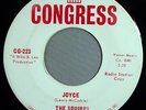 HEAR IT 60's Doo-Wop 45 rpm record The Squires 