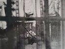 Paul McCartney Chaos & Creation In The Backyard New Vinyl LP 180 Gram free ship
