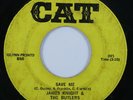 Funk 45 JAMES KNIGHT THE BUTLERS Save Me CAT HEAR