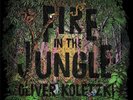 Oliver Koletzki Fire in the Jungle 1LP Vinyl 2019 Style before Talent SVT263LP
