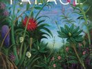 PALACE - Life After - Vinyl (heavyweight vinyl LP)