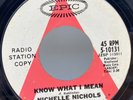 Nichelle Nichols: Know What I Mean 45 Vinyl Record on Epic WLP