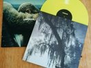 Beyonce - Lemonade Vinyl 2LP + Booklet