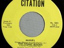 HEAR IT 60's Wisconsin Doo-Wop 45 rpm The Comic Books 
