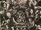 Rose Tattoo Outlaws coloured vinyl 2 LP NEW/SEALED