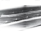 Poppy Ackroyd: Resolve - First Full-length Album - 2LP 12