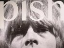 BRIAN JONESTOWN MASSACRE , The - Mini Album Thingy Wingy - Vinyl (LP)