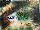 Pink Floyd - A Saucerful of Secrets Vinyl LP - Early Stereo Issue SCX 6258