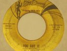 You Got It THE DEALERS 45 Phonograph Record EARLY JIMI HENDRIX Big Bunny Label