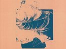 LONGWAVE - If We Ever Live Forever - Vinyl (teal marbled vinyl LP + insert)