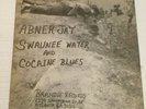 Abner Jay   Swaunee Water And Cocaine Blues   Vinyl LP   Brandie- with Insert