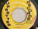 RIGHTEOUS UPSETTERS - DARK MOON - UPSETTER ( ROOTS INST 7 )